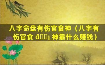 八字命盘有伤官食神（八字有伤官食 🐡 神靠什么赚钱）